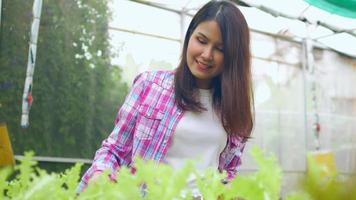 Porträt einer glücklichen asiatischen Bäuerin und Überprüfung von frischem Gemüsesalat auf das Auffinden von Schädlingen in einem Bio-Bauernhof in einem Gewächshausgarten, Konzept der Landwirtschaft aus biologischem Anbau für Gesundheit, veganes Essen.