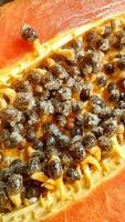 Papaya seeds that are split open are black and orange, a tropical fruit rich in vitamins photo