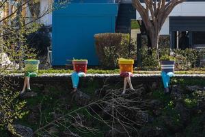 Close-up of multi-colored pots in the shape of people with legs photo