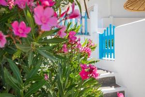 Santorini, Greece. Oia village. Blue fence and gate with pink flowers over white  architecture. Idyllic street scenic in Greece photo