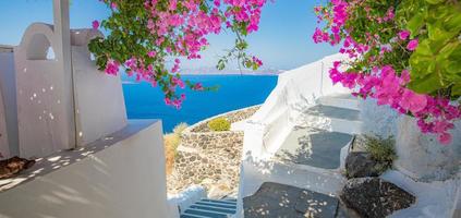 Santorini, Greece. Famous view of traditional white architecture Santorini landscape with flowers in foreground. Summer vacations background. Luxury travel tourism concept. Amazing summer destination photo