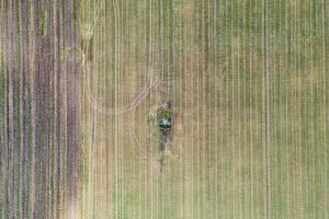 Aerial top view photo from flying drone of a land with sown green fields in countryside in spring day. Land with grown plants