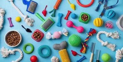 Pet care concept, various pet accessories and tools on blue background, flat lay photo