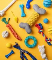 Pet care concept, various pet accessories and tools on yellow background, flat lay photo