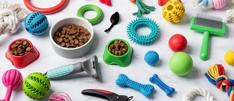 Pet care concept, various pet accessories and tools on white marble background, high angle photo