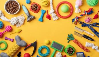 Pet care concept, various pet accessories and tools on yellow background, flat lay photo