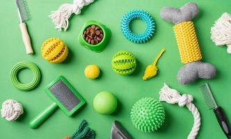 Pet care concept, various pet accessories and tools on green background, flat lay photo