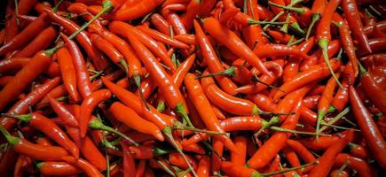 Background and texture of hot red Chinda Chili, Type of Thai chili pepper used for thai cooking. photo