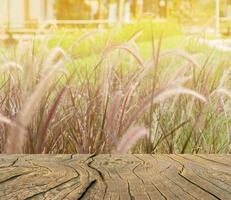 The plank is in the meadow with light orange photo