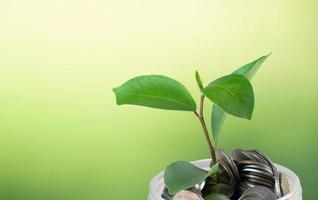 A plant sprouting on coins with a green blurred background and copy space photo