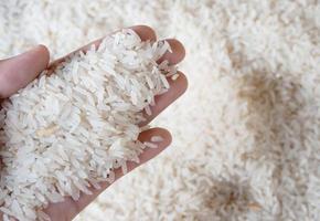 Rice on hand with blurred background photo