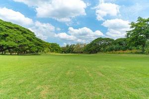Green trees with Beautiful meadow in the park photo