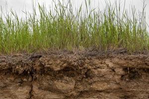 Soil cut due to landslide. photo