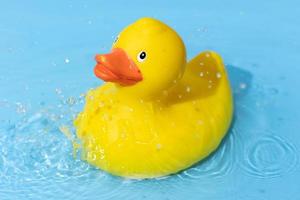 Yellow rubber duck on blue water background with splashing droplets. Leisure time playful concept photo