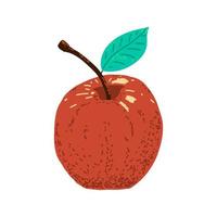 Red apple with textures. Vector illustration hand drawn in style