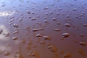 Water drops after rain on an orange background photo