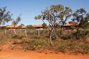 viviendas que el gobierno brasileño está construyendo en la reserva de las tribus indígenas karriri-xoco y tuxa que viven en el noroeste de brasilia, también conocido como noroeste foto