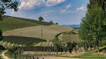 paisajes de la langhe piamontesa de barolo y monforte d'alba, durante la primavera de 2022 foto