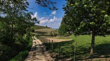 landscapes of the Piedmontese Langhe of Barolo and Monforte d'Alba, during the spring of 2022 photo