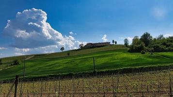 landscapes of the Piedmontese Langhe of Barolo and Monforte d'Alba with their vineyards in the period of spring 2022 photo