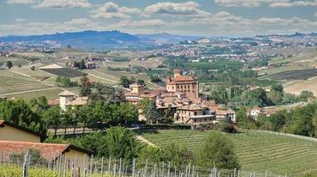 landscapes of the Piedmontese Langhe of Barolo and Monforte d'Alba with their vineyards in the period of spring 2022 photo