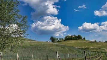 paisajes de la langhe piamontesa de barolo y monforte d'alba, durante la primavera de 2022 foto