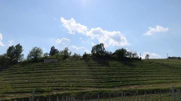 paisajes de la langhe piamontés de barolo y monforte d'alba con sus viñedos en el período de la primavera de 2022 foto