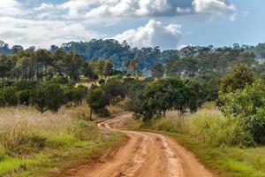 Dirt road in Thung Salaeng Luang Nation Park, Thailand photo