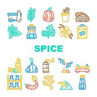 Spice Vegetable Food Collection Icons Set Vector
