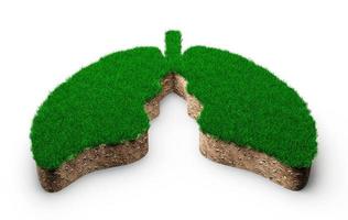 forma de pulmones hecha de hierba verde y sección transversal de textura de suelo de roca con ilustración 3d