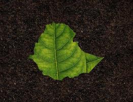 Ethiopia map made of green leaves on soil background ecology concept photo