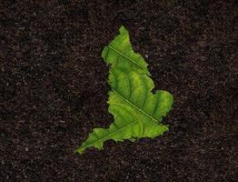 England map made of green leaves on soil background ecology concept photo