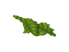 mapa de georgia hecho de hojas verdes sobre fondo blanco aislado concepto de ecología foto