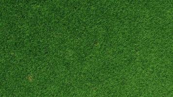 Vista superior de textura de césped de hierba verde detallada representación 3d foto