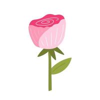 Cute pink rose with leaves isolated on white background. Vector illustration in hand-drawn flat style. Perfect for cards, logo, decorations, spring and summer designs. Botanical clipart.