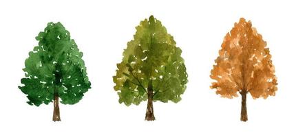 Set of autumn trees with green and gold foliage isolated on white background. Watercolor hand-drawn illustration in loose style. Perfect for your project, card, prints, covers, patterns, decoration. vector