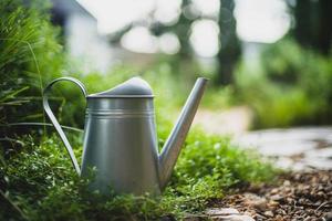 Metal watering can be Placed above the pine, in the garden, at evening time. soft focus.shallow focus effect. photo