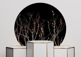 Abstract golden and white stage podium luxury and modern platform for product display advertising with circle rings and leaves  White background 3d render Podium photo