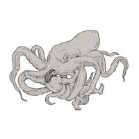 Hercules Fighting Giant Octopus Drawing vector
