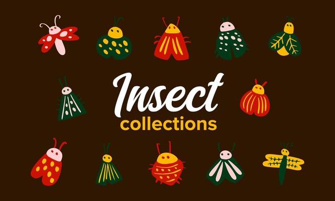 Hand drawn insect vector collections