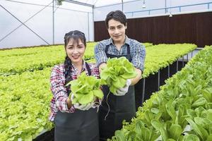 agricultores locales asiáticos que cultivan su propia ensalada de lechuga de roble verde en el invernadero utilizando un enfoque orgánico del sistema de agua hidropónica y tecnología moderna para empresas familiares foto
