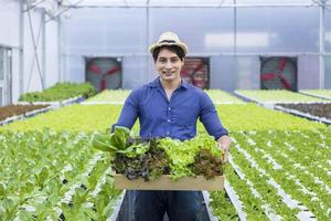 agricultor local asiático cultivando su propia ensalada de lechuga de roble verde en el invernadero utilizando un enfoque orgánico del sistema de agua hidropónico para el negocio familiar y recogiendo algunos para la venta foto