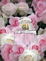botella de perfume en la pared de rosas de fondo colorido foto