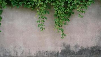 la vieja pared de cemento estaba desgastada, la superficie estaba rayada, la superficie estaba rayada y dañada. para un misterioso fondo retroconservador. foto