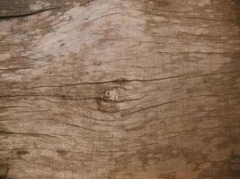 Old wood background. photo