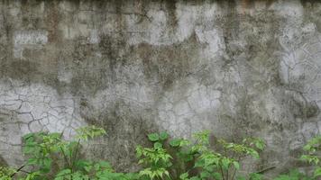 The old cement wall was weathered, the surface was scratched, the surface was scratched and damaged. For a mysterious retro-conservative background. photo