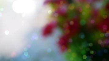 Bokeh backgrounds are bursting with color and glamor like a celebration. Suitable for advertising background. photo