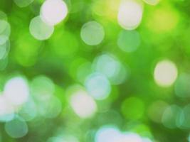 Bokeh backgrounds have different colors, blew movements look charming and exciting. photo