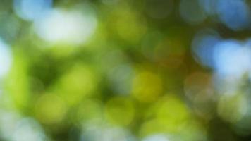 Bokeh backgrounds are bursting with color and glamor like a celebration. Suitable for advertising background. photo