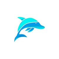 dolphin logo design vector